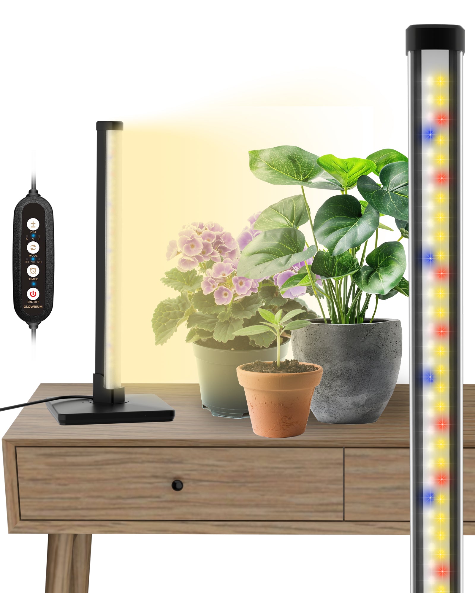 Full Spectrum Plant Grow Lights  (15 in)10W Hanging and Standing Auto-Timer Wide Area Coverage in Indoor Plants-G3