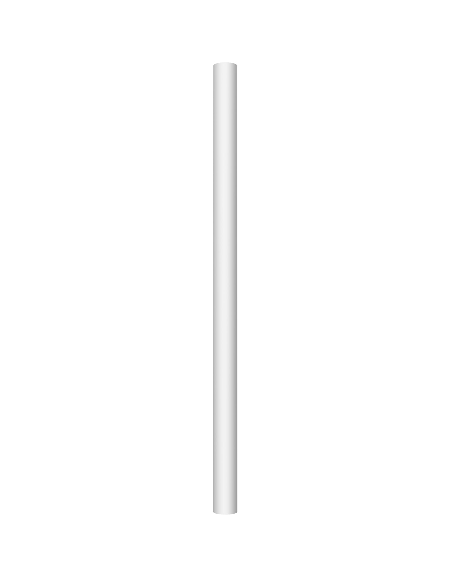 G462/GC010 Extension Pole White 2unite